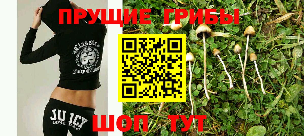 Псилоцибиновые грибы прущие грибы  как найти закладки  Тобольск  Псилоцибиновые грибы GOLDEN TEACHER  Вход с VPN 