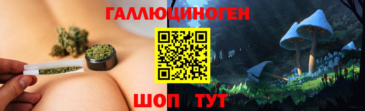 Галлюциногенные грибы Psilocybe Тобольск